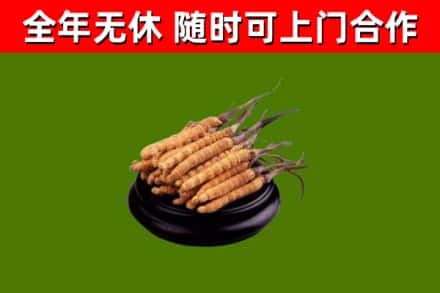 神池回收冬虫夏草